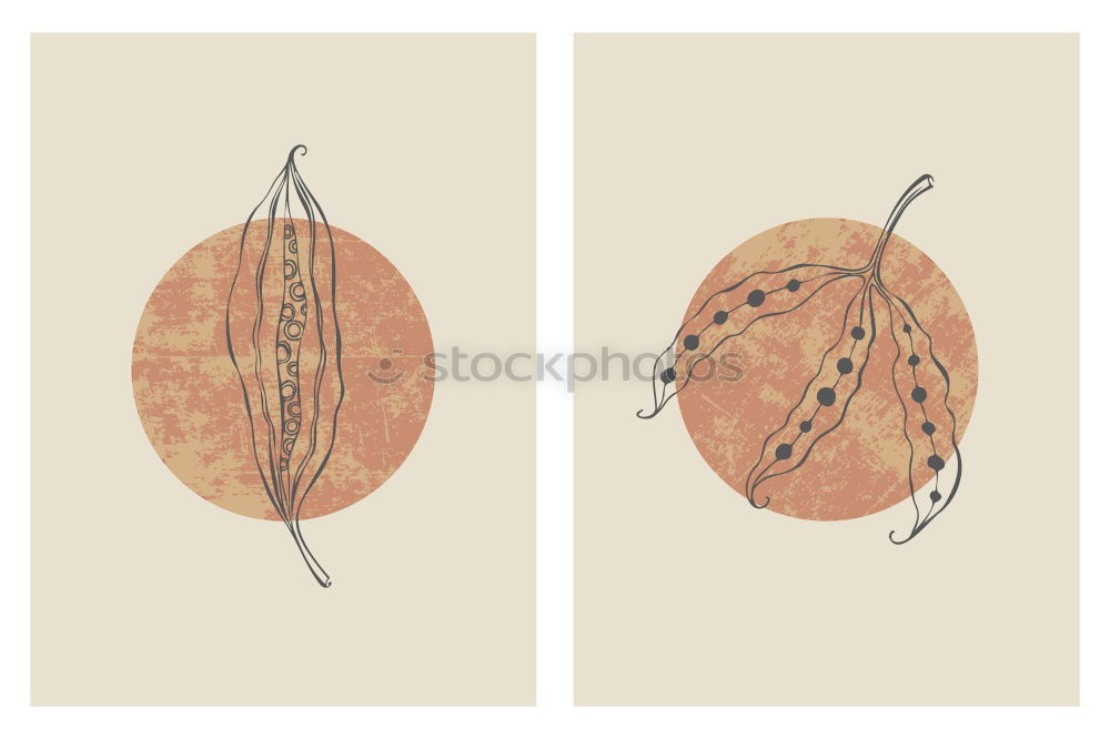 Similar – Image, Stock Photo herbarium Art Environment