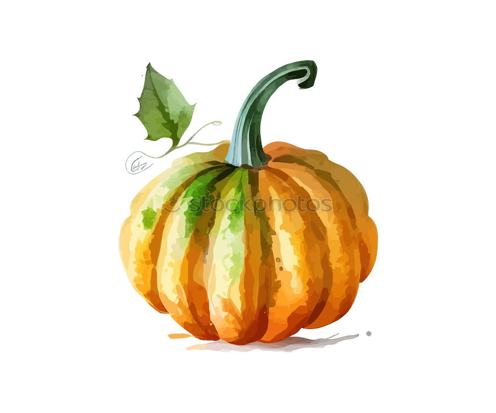 Similar – Image, Stock Photo Pumpkin stack on white