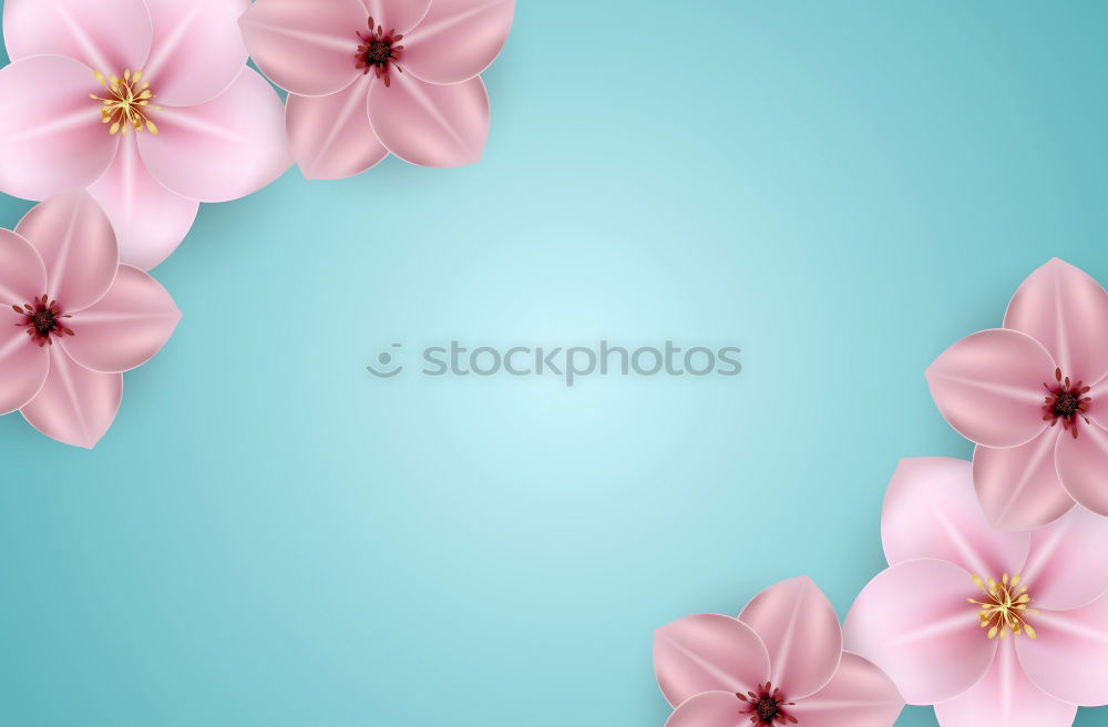 Similar – Image, Stock Photo Rose with petals on blue turquoise Shabby Chic background