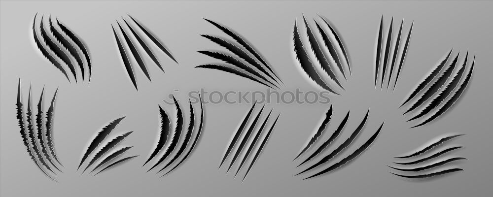 Similar – Image, Stock Photo snow Plant Winter Snow