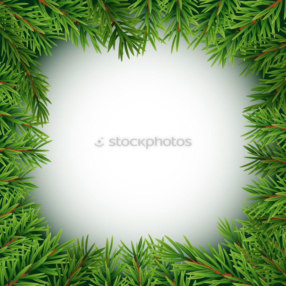 Similar – Image, Stock Photo Fir branch with fir scent