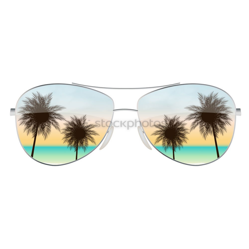 Similar – Image, Stock Photo beige sunglasses on palm leaf, travel concept object