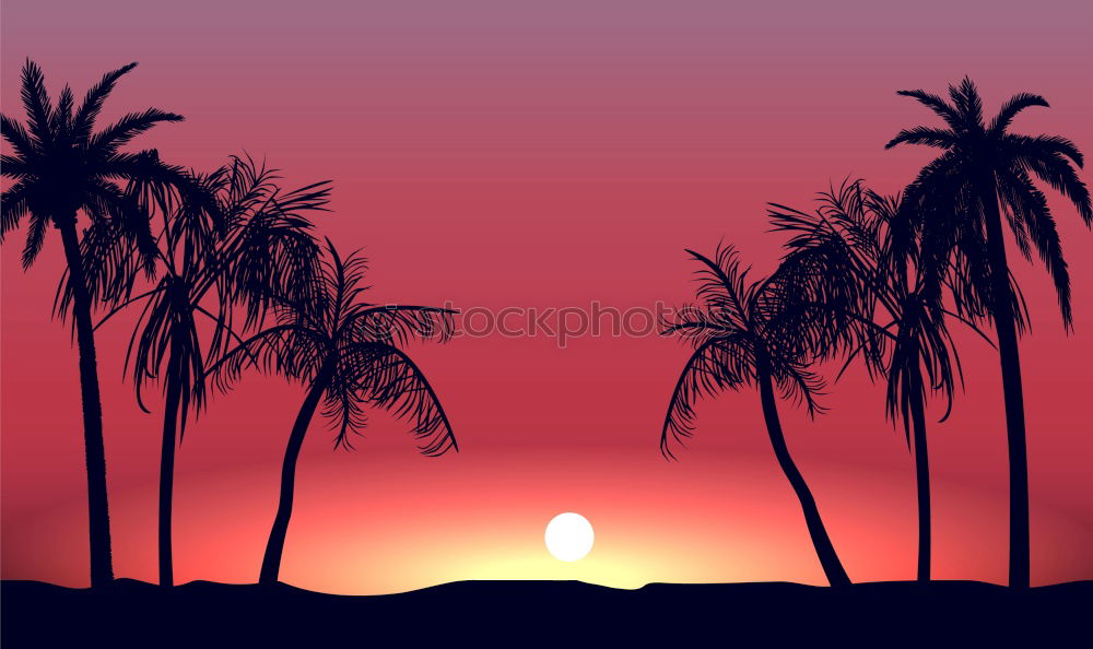 Similar – Image, Stock Photo mindimarket Plant Sunrise