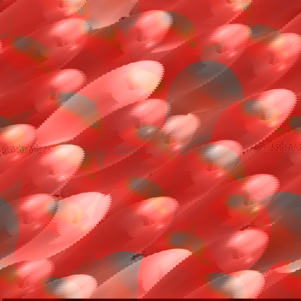 Image, Stock Photo Cherry tomatoes on a coral red background