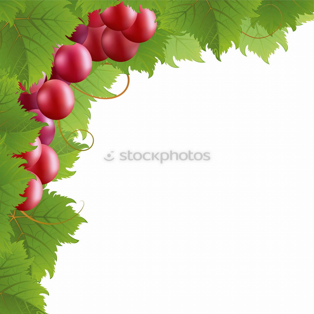 Similar – Image, Stock Photo Health pills from the shrub