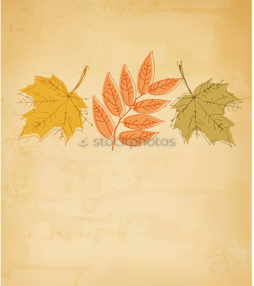 Similar – Image, Stock Photo #AS# crazy for autumn