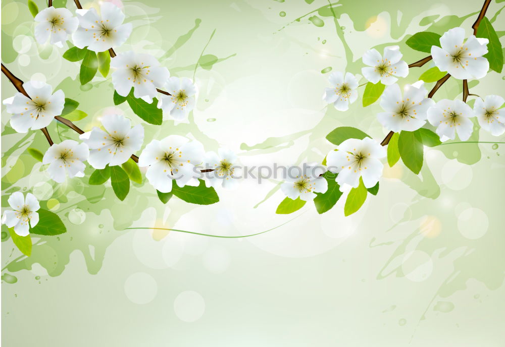 Spring background with green leaves and bokeh