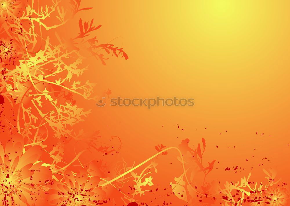 Similar – Foto Bild frozen orange tree II