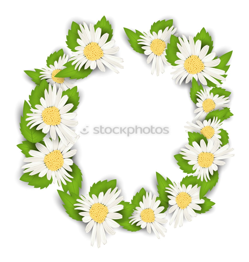 Similar – flower wreath Nature Plant