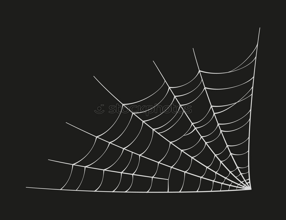 Similar – Foto Bild Spinne im Netz bei Nacht 1