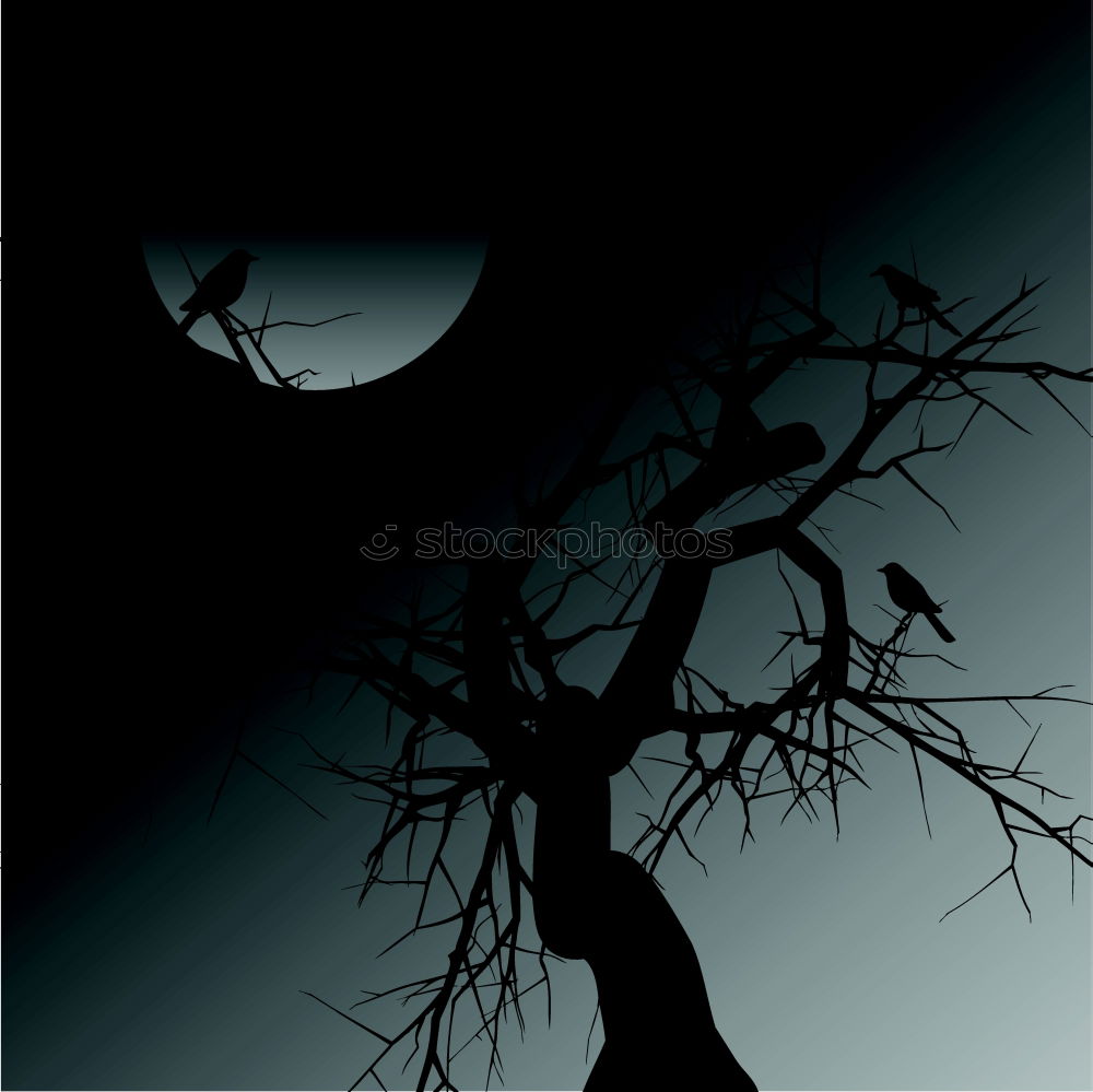 Similar – Nightmare Baum Nacht