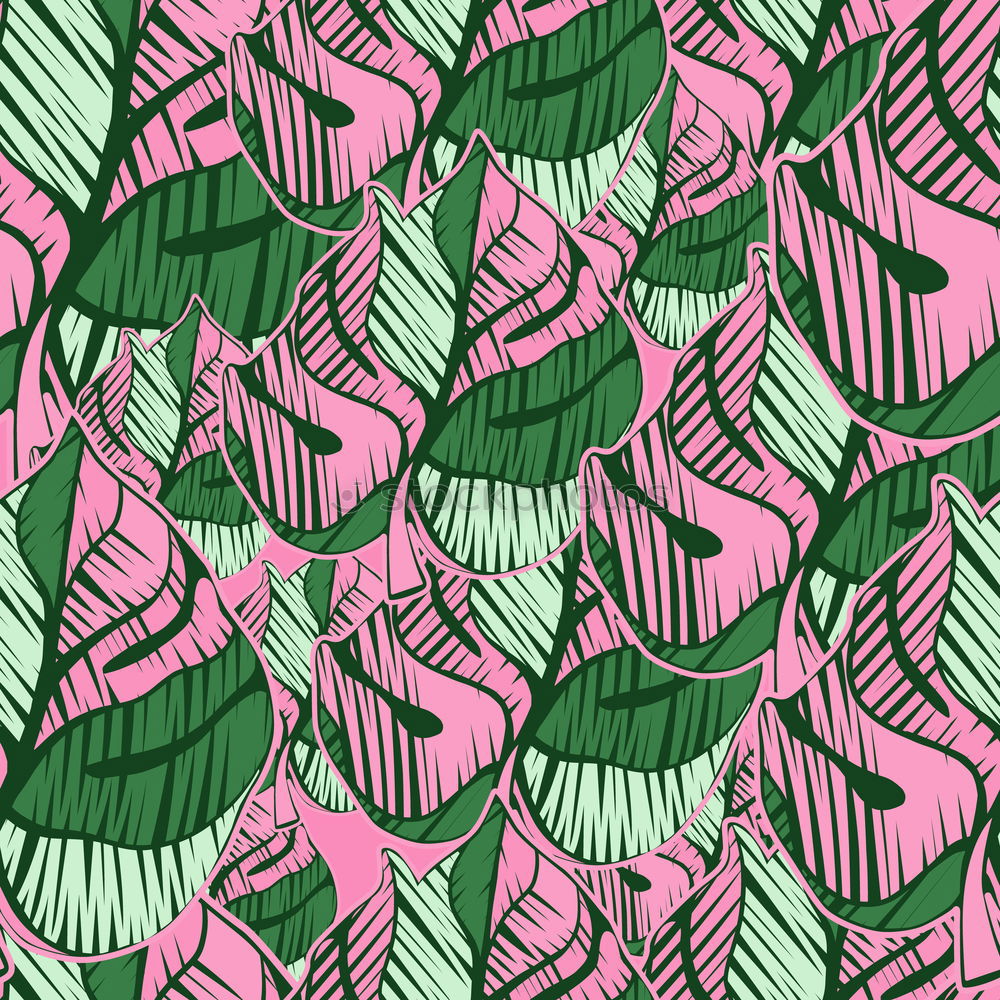 Similar – Pattern red watermelon on background. Flat lay, top view