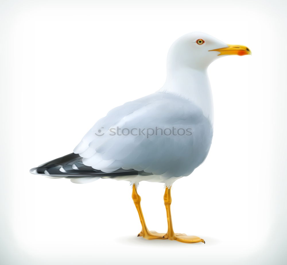 Similar – Image, Stock Photo Mobile old bread destruction unit in Zingst