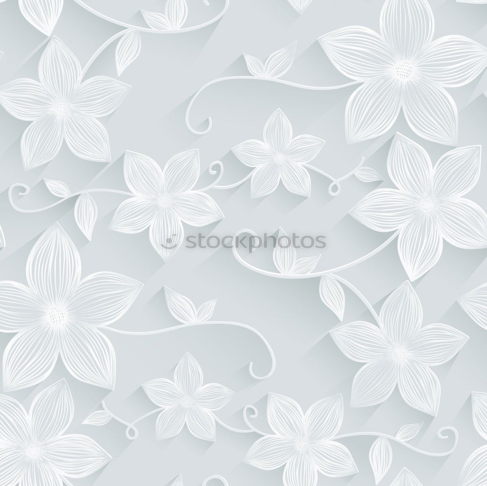 Similar – Flowers background photo wall