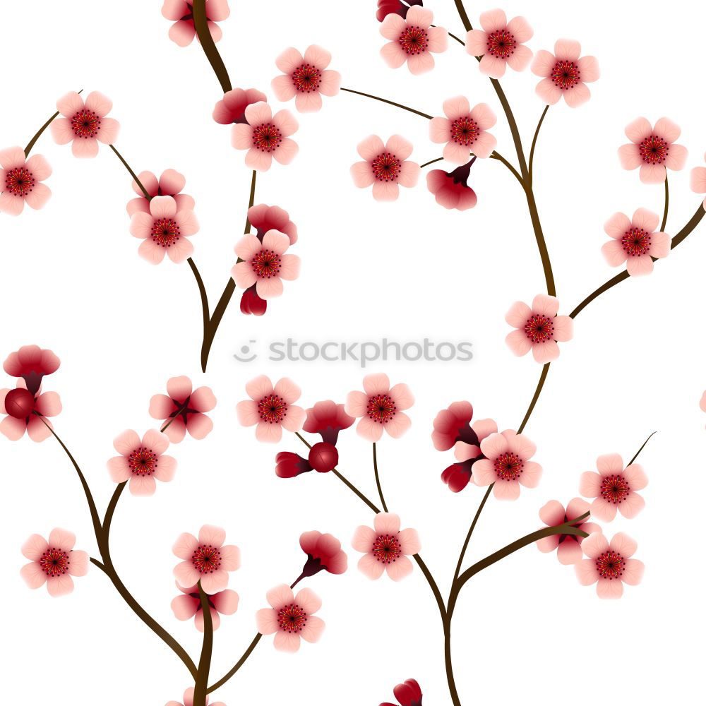 Similar – Image, Stock Photo Christmas branch with red berries