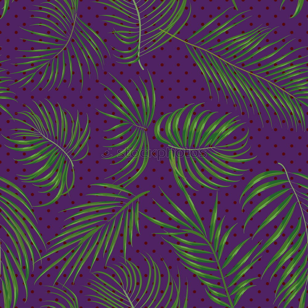 Similar – palm tree on purple background