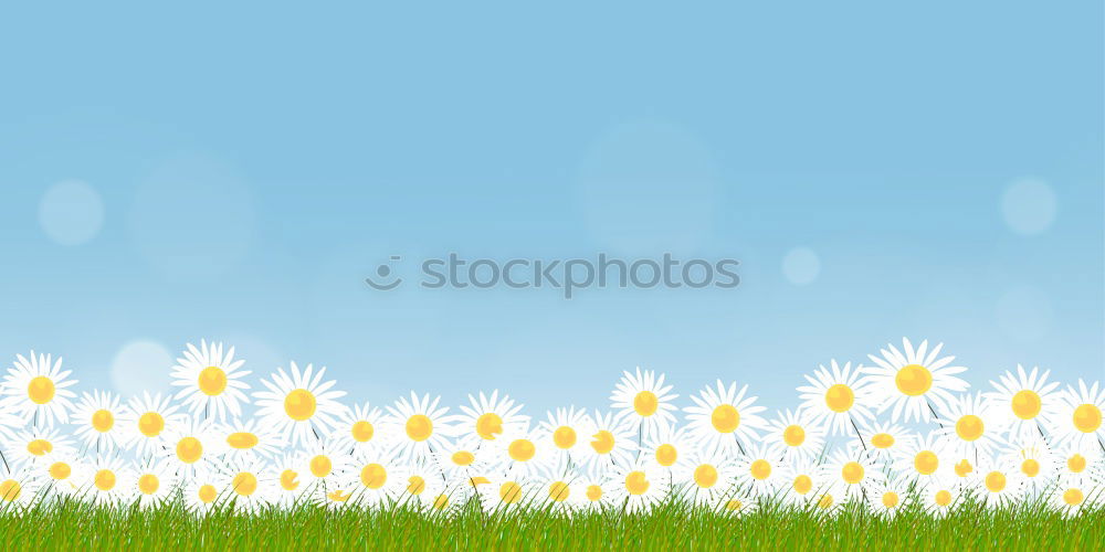 Similar – Image, Stock Photo I want summer Environment