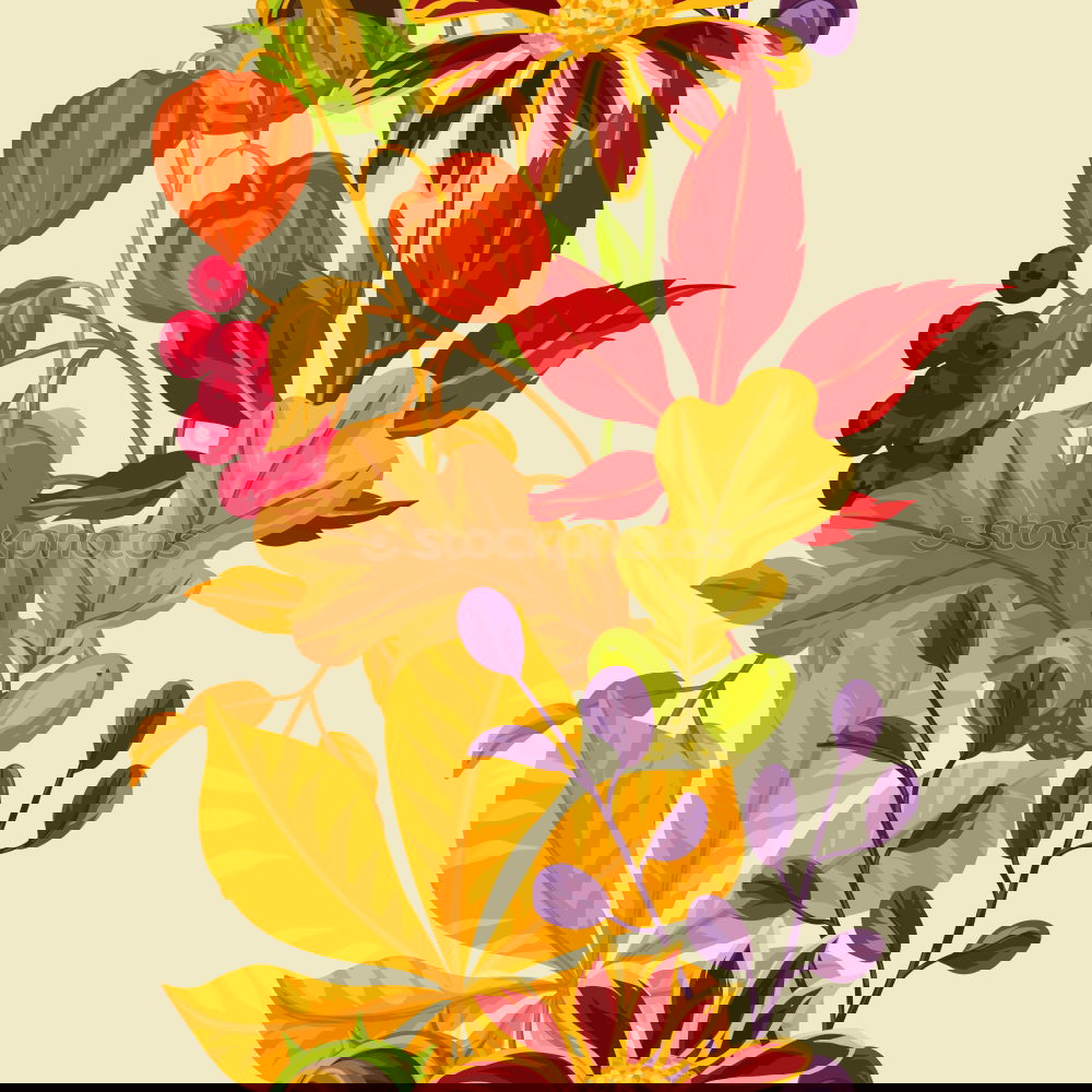 Similar – Image, Stock Photo Summer flowers on red wooden table
