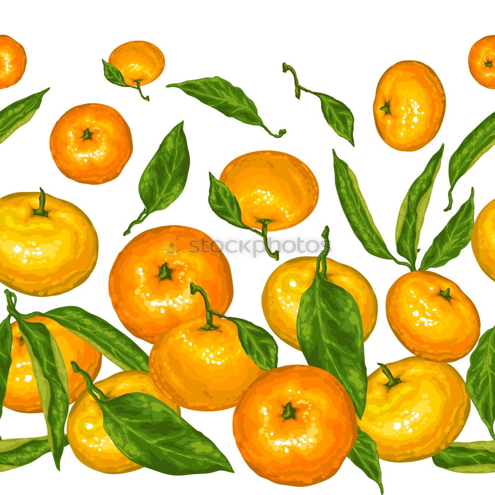 Similar – branches of an orange tree with ripe orange