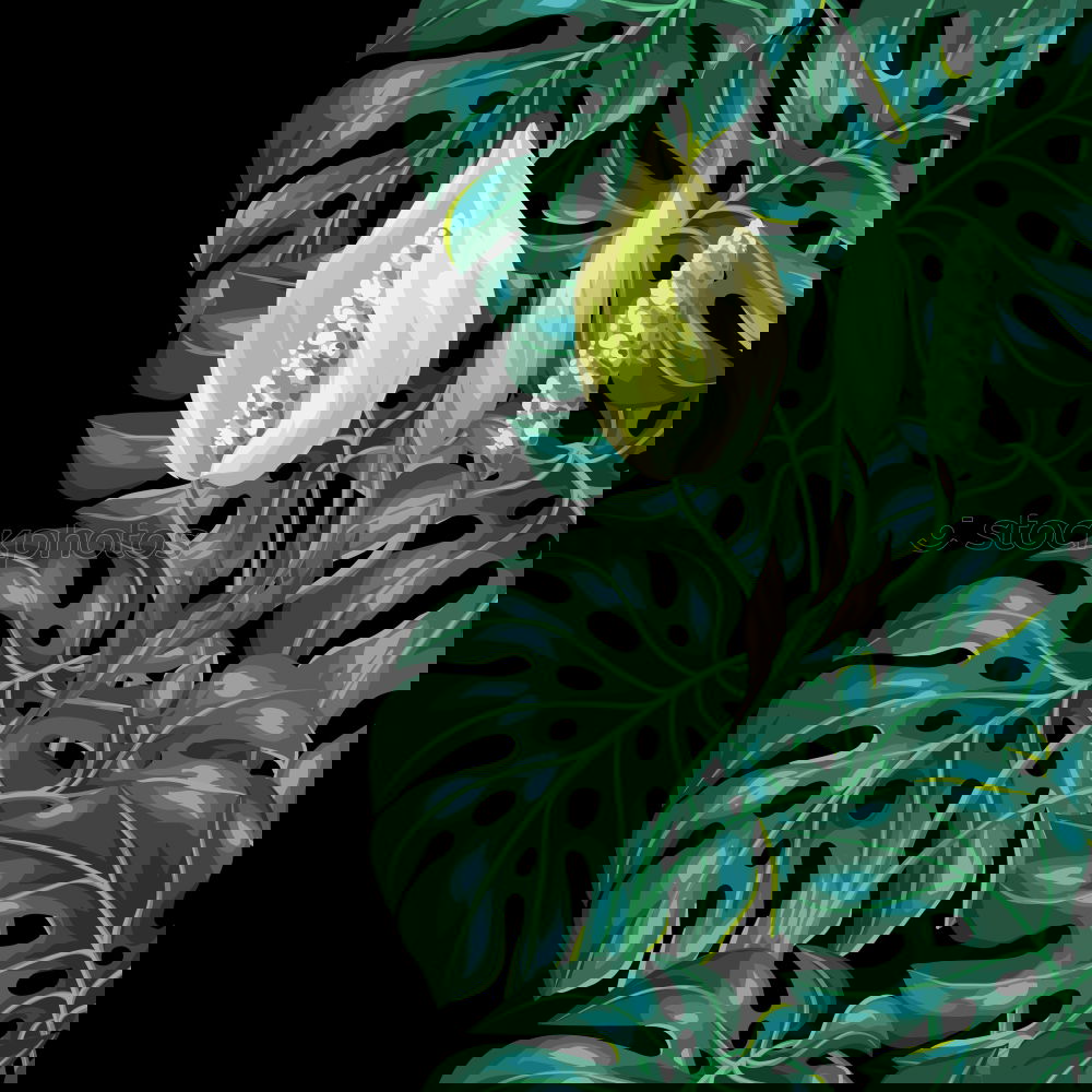 Similar – Image, Stock Photo Artistic display of assorted artichokes