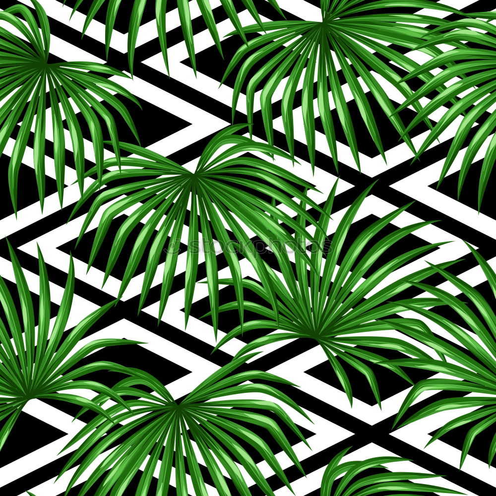 Similar – Textures of Tropical Plants