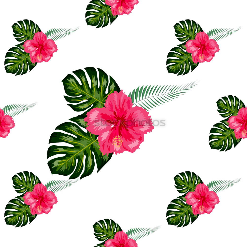 Similar – White background with tropical palm leaves and flowers