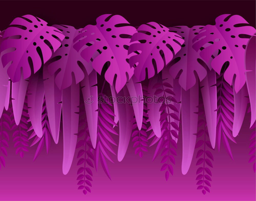 Similar – palm tree on purple background