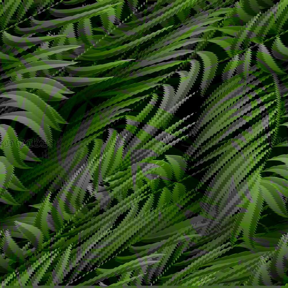 Similar – Image, Stock Photo green leaves texture Plant