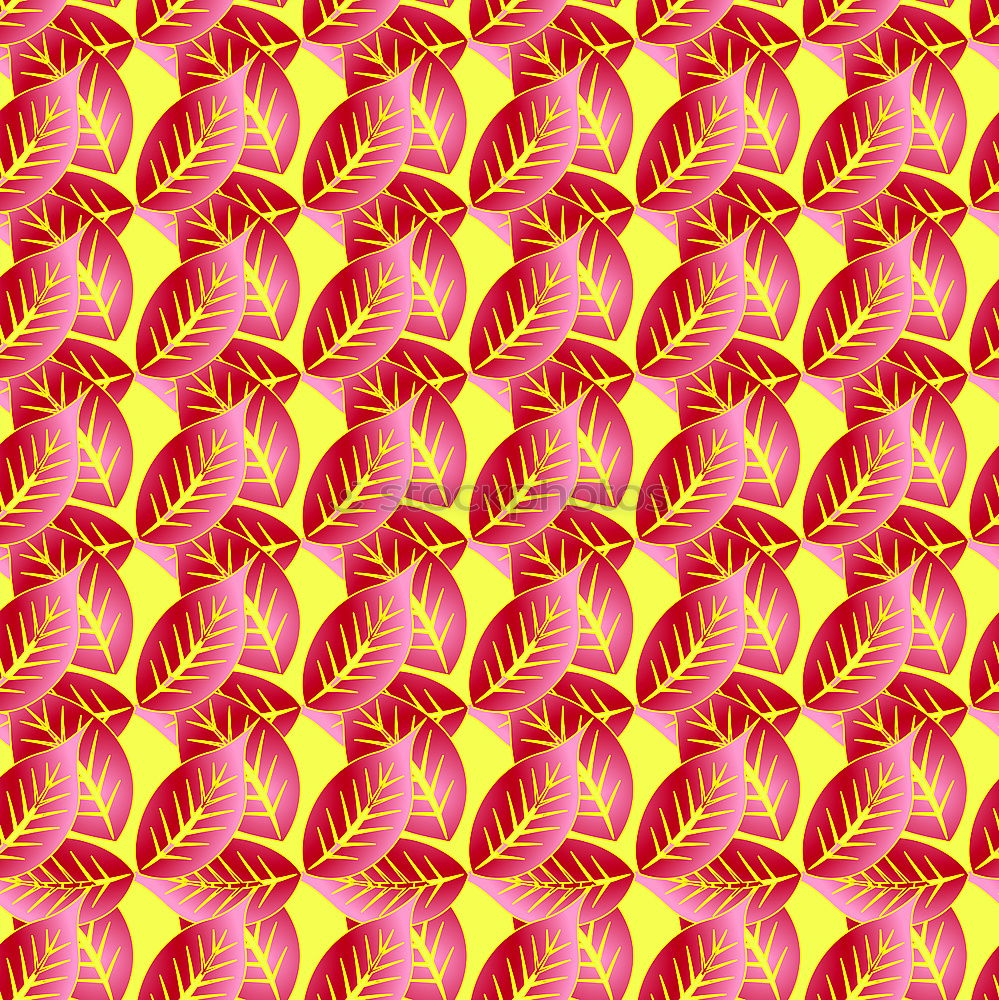 Similar – Pattern red watermelon on background. Flat lay, top view