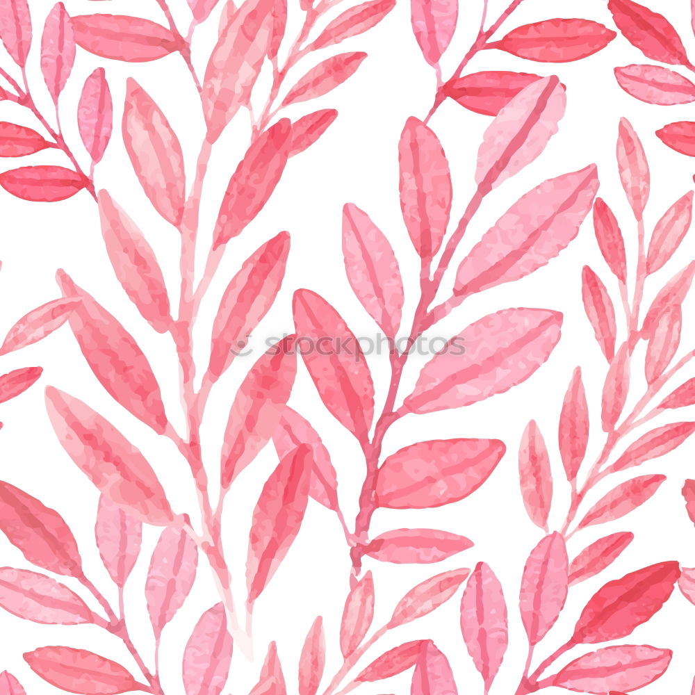 Similar – Image, Stock Photo Pink tropical leaves on yellow