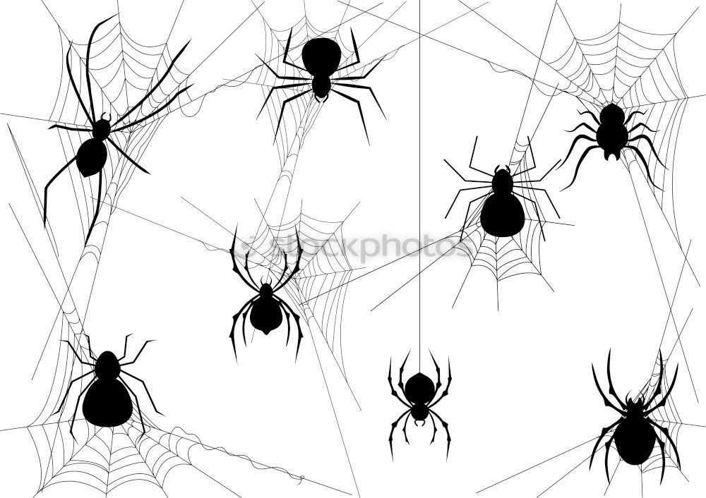 Similar – Foto Bild spinnchen Spinne