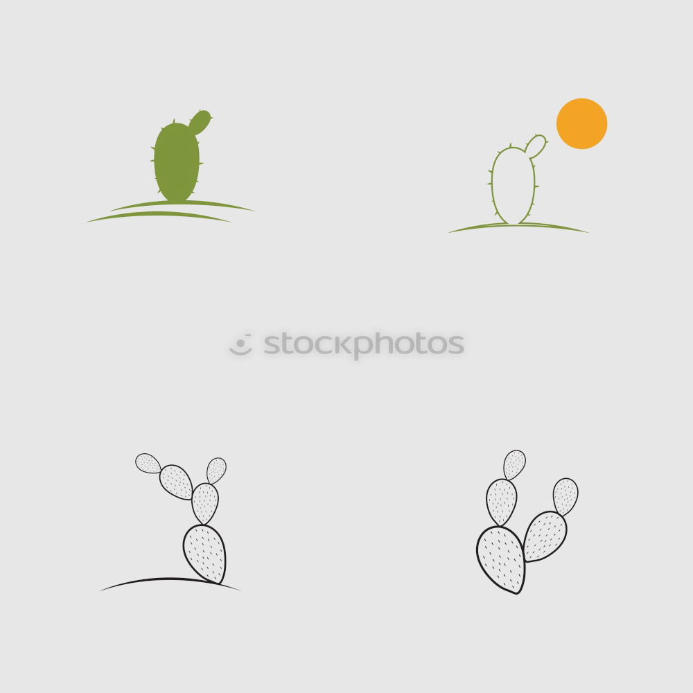 Similar – Image, Stock Photo juggle Elegant Style Life