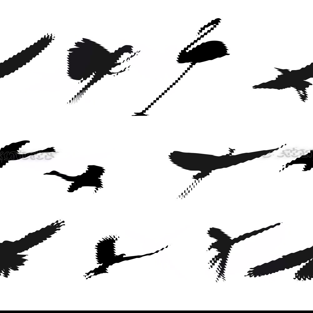 Similar – Image, Stock Photo Flying geese birds. Ink black and white drawing