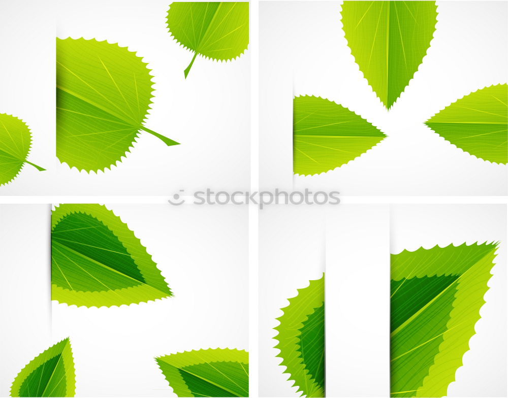 Similar – Image, Stock Photo Sheet 11 Plant Green