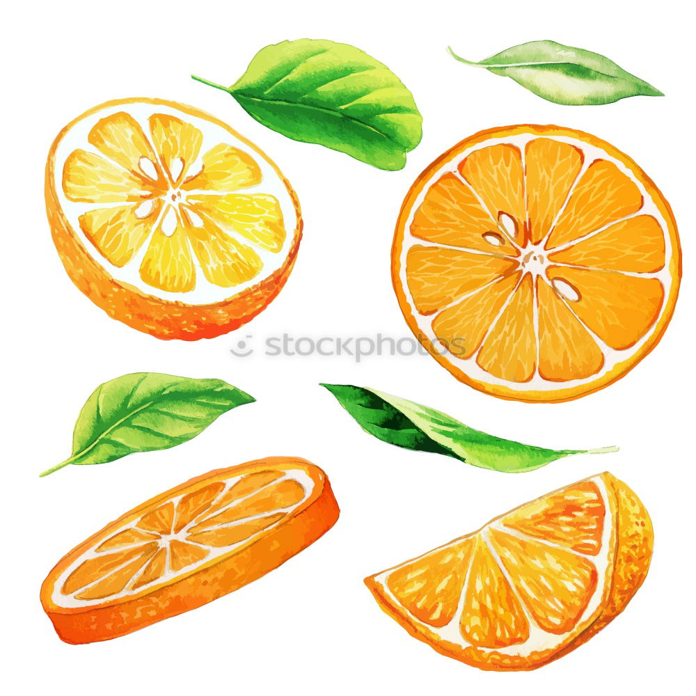 Similar – Image, Stock Photo Various citrus fruits on a light blue background