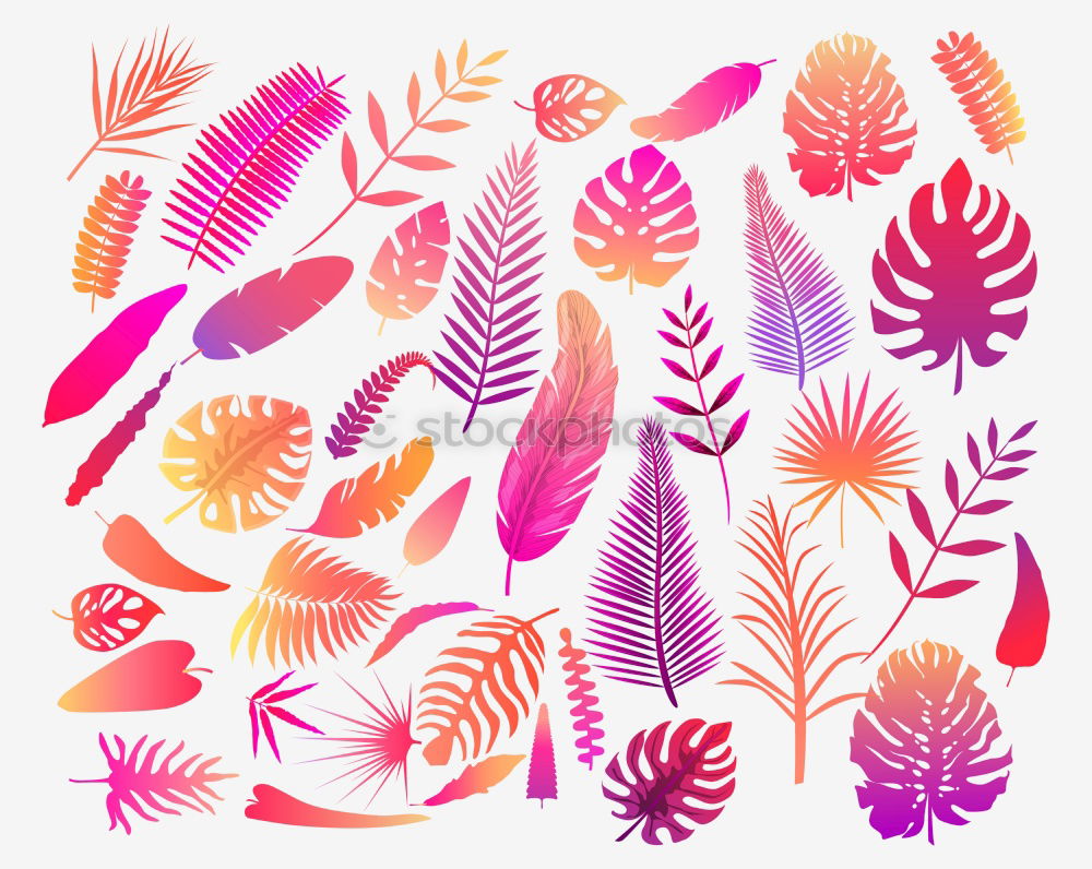 Similar – Image, Stock Photo Purple palm leaves on blue background