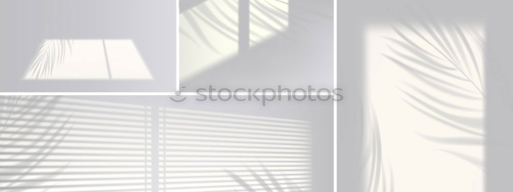 Similar – Image, Stock Photo latticed°