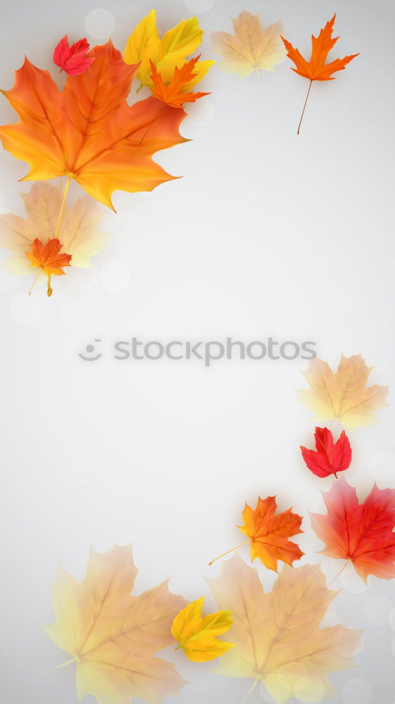 Similar – Autumn nature background with falling baun leaves