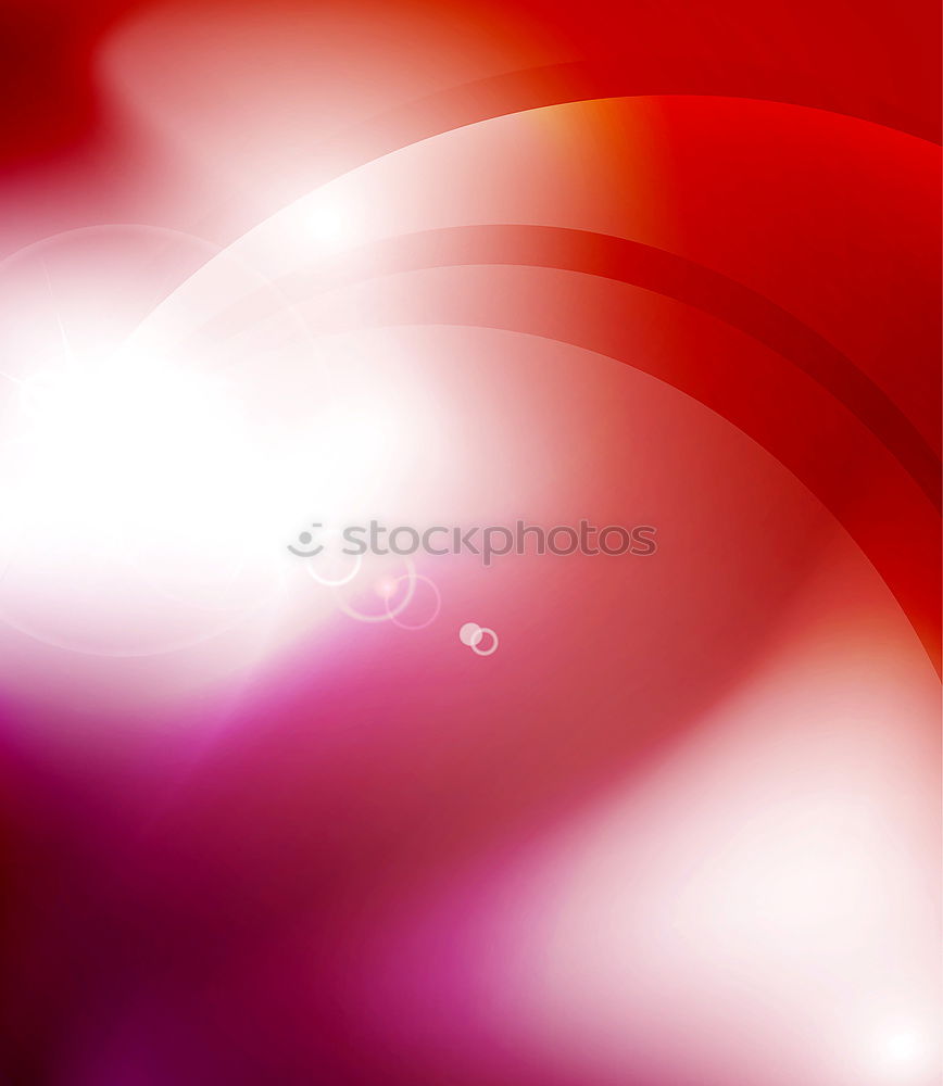 Image, Stock Photo rose blossom Elegant