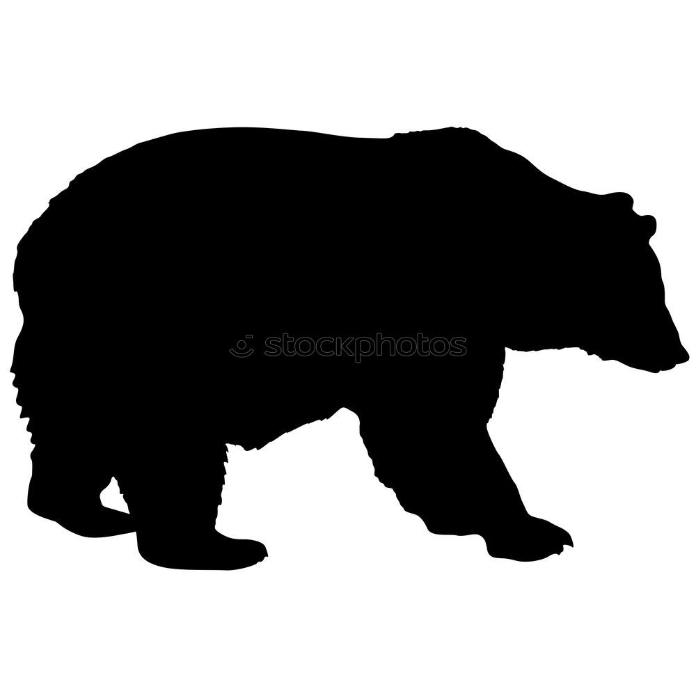 Similar – Image, Stock Photo Please don’t cuddle!