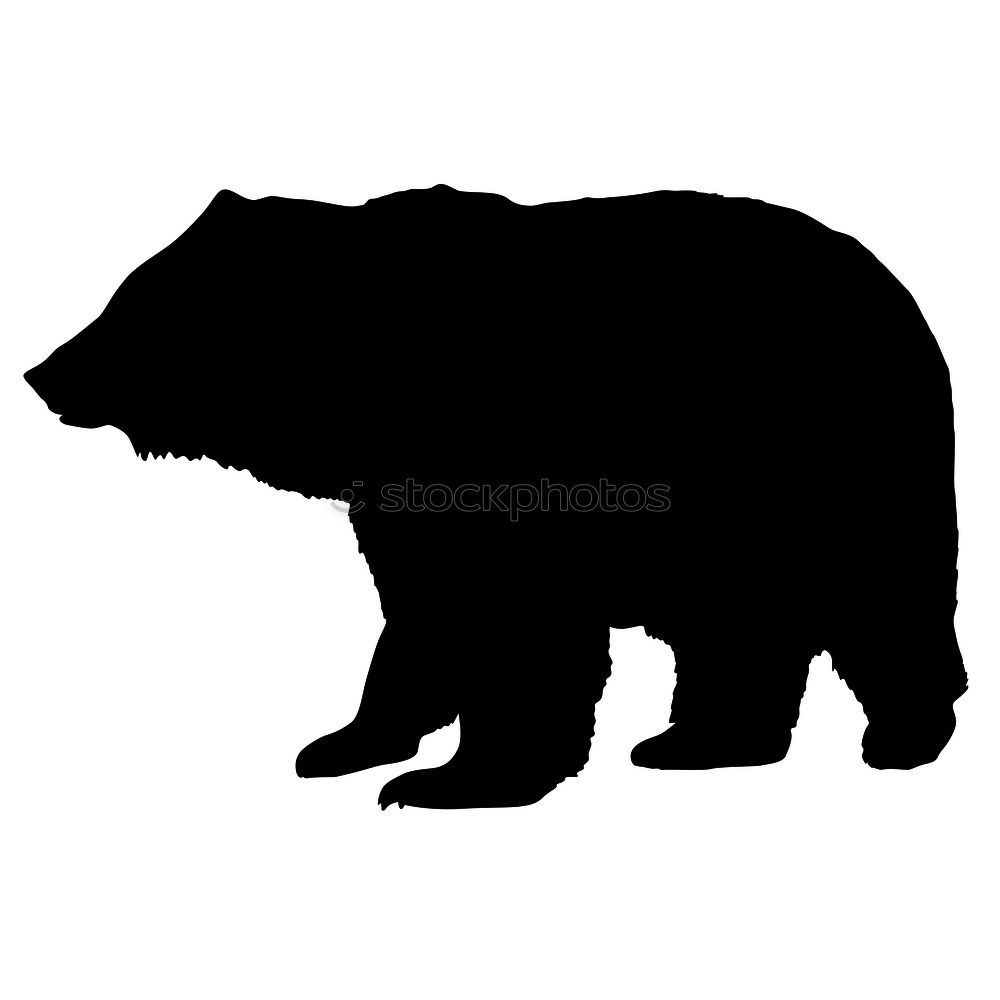 Similar – Image, Stock Photo Please don’t cuddle!
