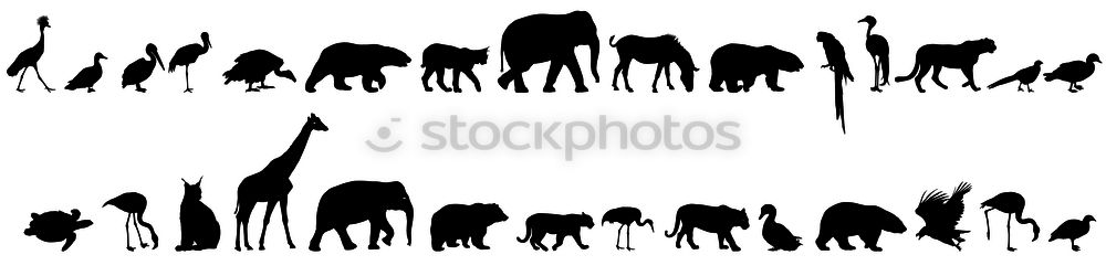 Similar – Image, Stock Photo can’t get any bigger?