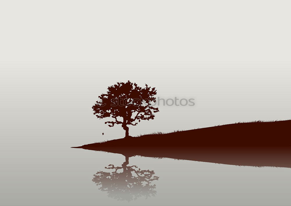 Similar – lonely tree Tree Summer