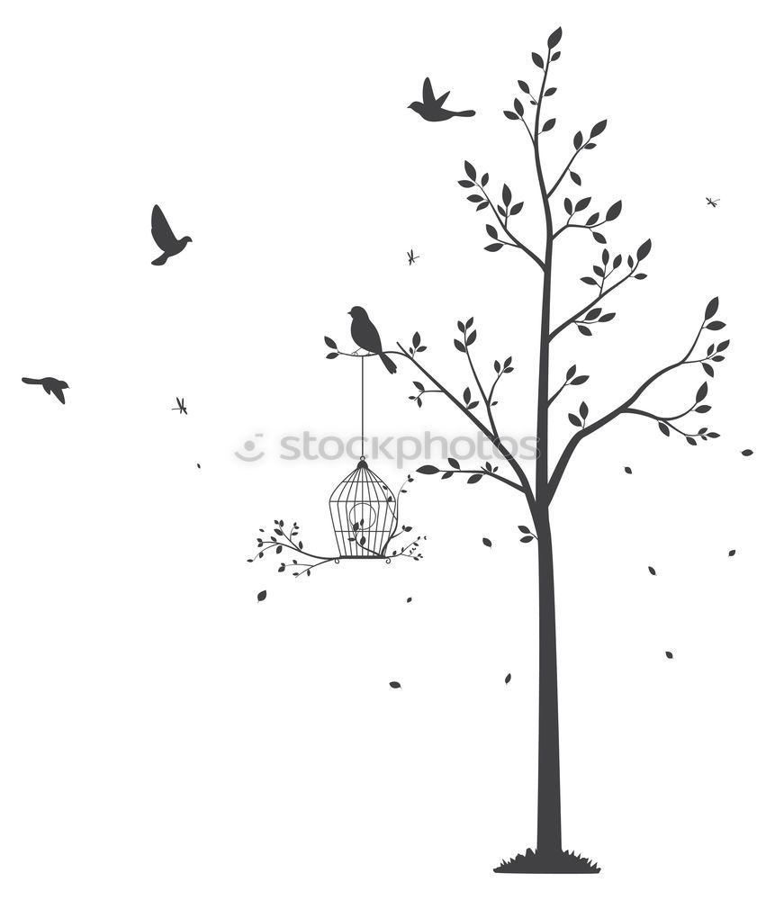 Similar – Image, Stock Photo sparrow autumn Environment