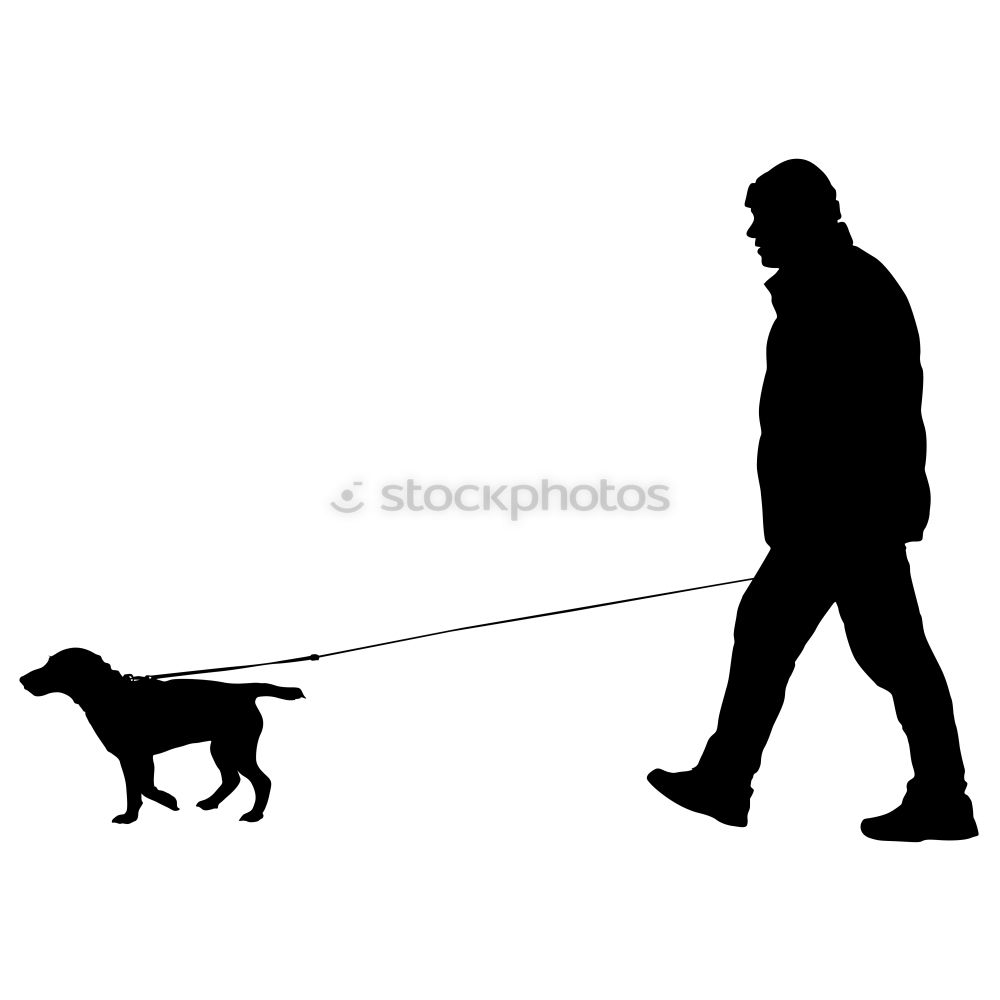 Similar – Image, Stock Photo chihuahua