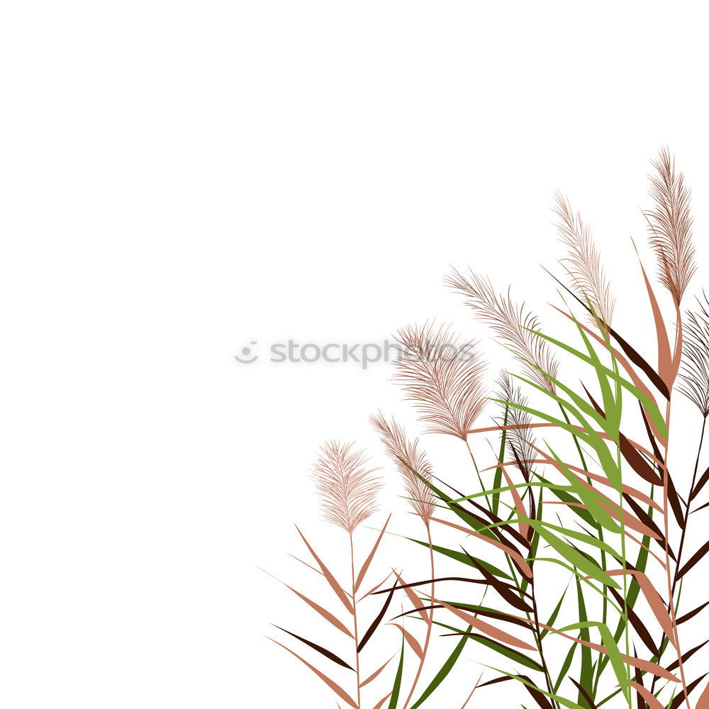 Similar – Image, Stock Photo grass Grass Green Bright