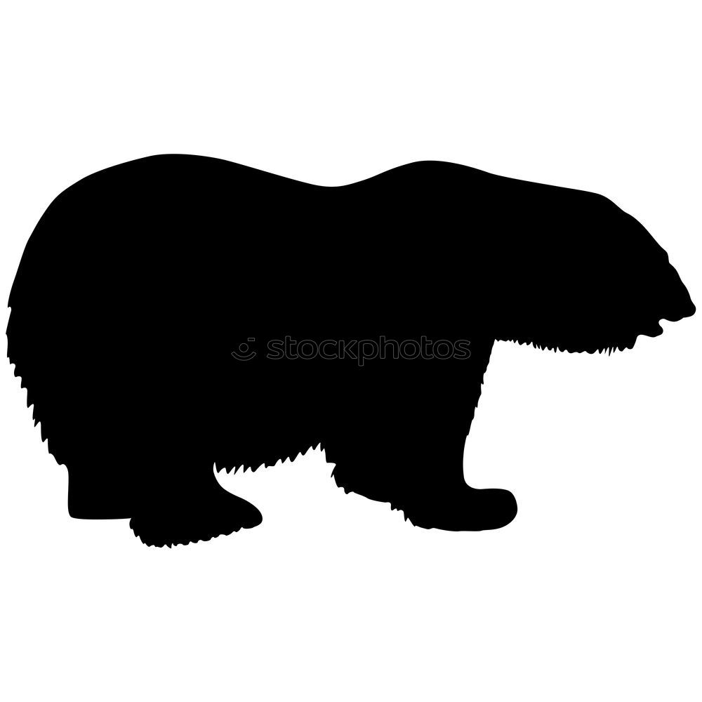 Similar – Image, Stock Photo Please don’t cuddle!