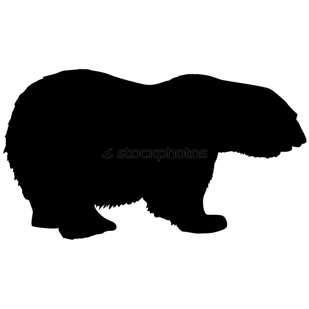 Similar – Image, Stock Photo Please don’t cuddle!