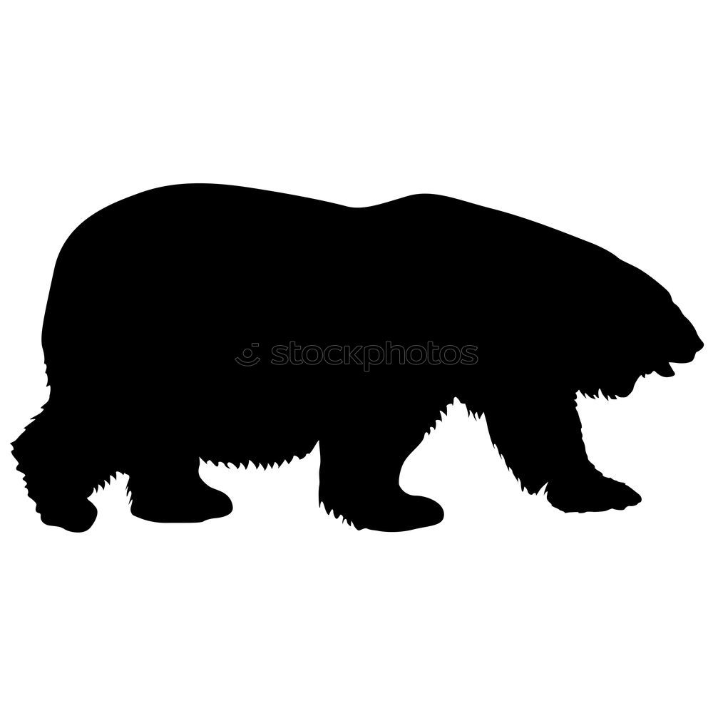 Similar – Image, Stock Photo Please don’t cuddle!