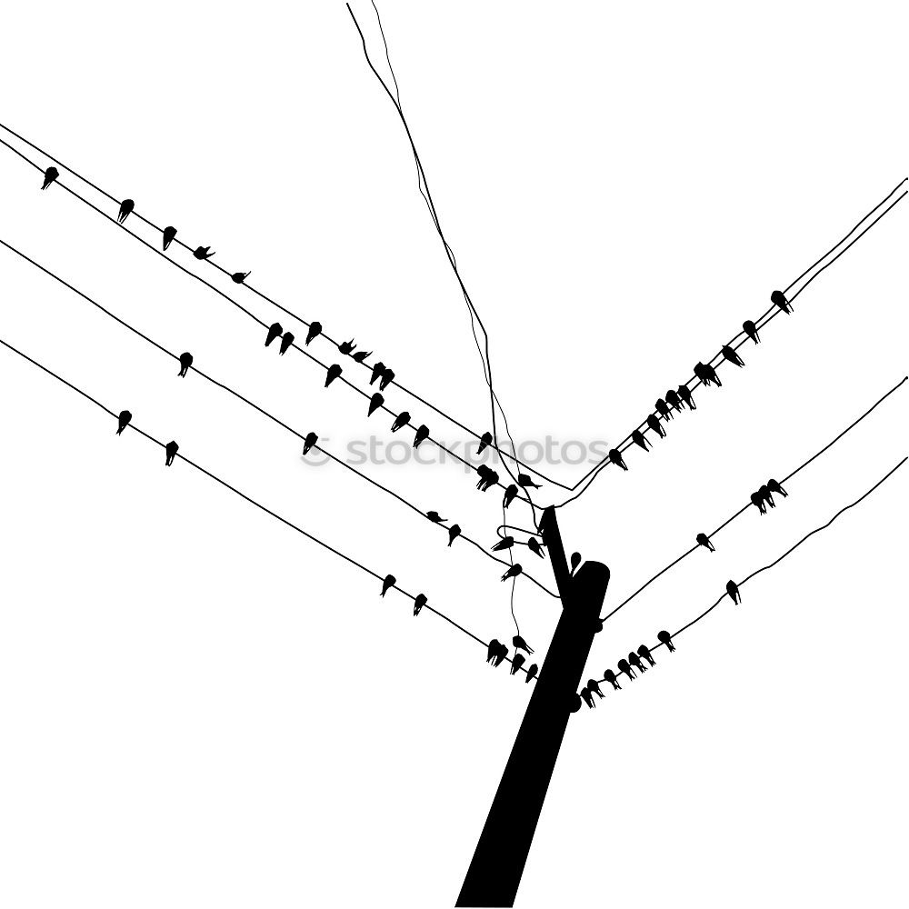 Similar – Stadtsynapsen diagonal